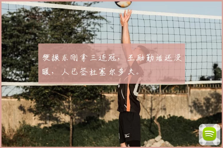 樊振东刚拿三连冠，王励勤话还没暖，人已签杜塞尔多夫。