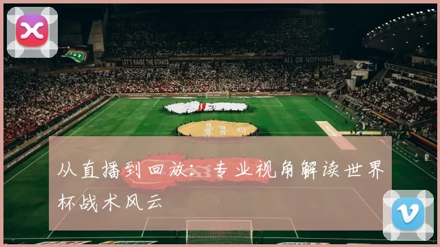 从直播到回放:专业视角解读世界杯战术风云