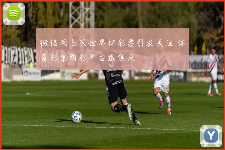 微信网上买世界杯彩票引发关注 体育彩票购彩平台成焦点