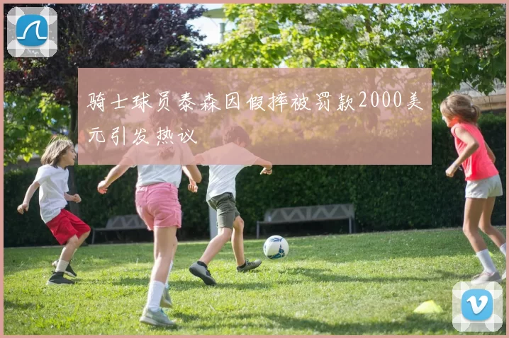 骑士球员泰森因假摔被罚款2000美元引发热议