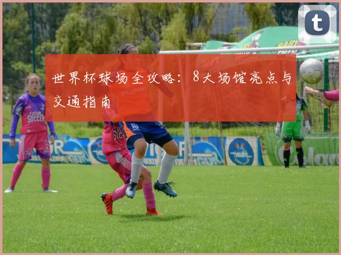世界杯球场全攻略:8大场馆亮点与交通指南