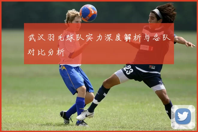 武汉羽毛球队实力深度解析与各队对比分析