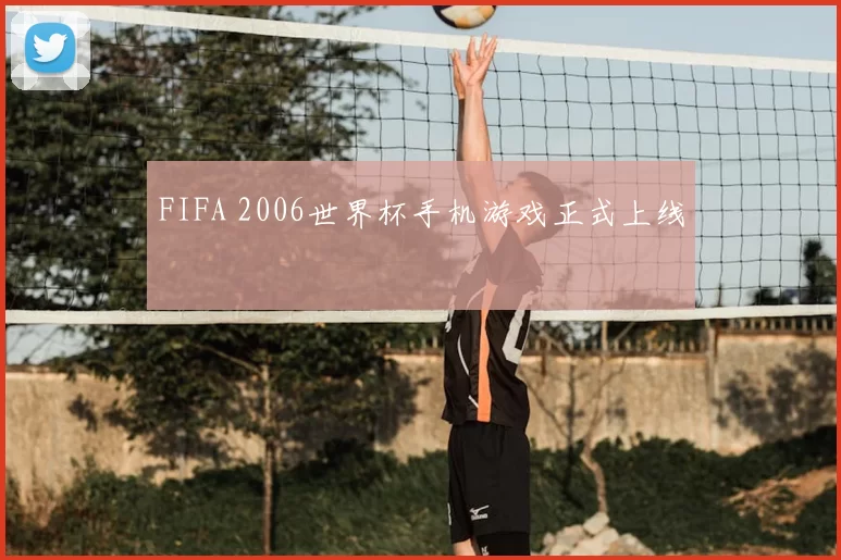 FIFA 2006世界杯手机游戏正式上线