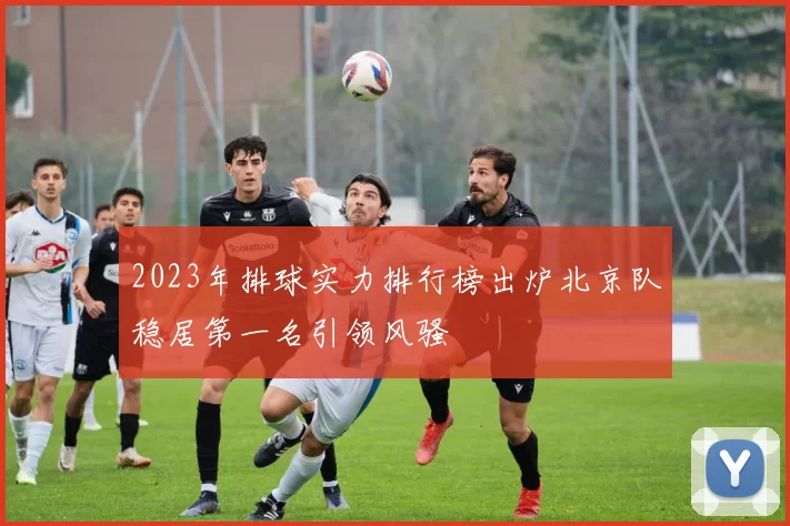2023年排球实力排行榜出炉北京队稳居第一名引领风骚