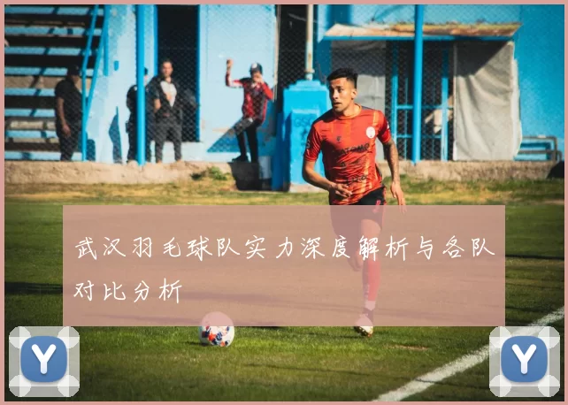 武汉羽毛球队实力深度解析与各队对比分析